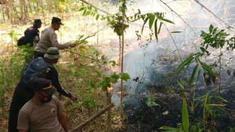 Lereng Barat Gunung Budeg Tulungagung Terbakar, Pendakian Ditutup