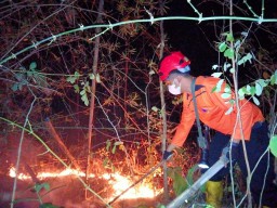 Hutan Gunung Orak-Arik Trenggalek Terbakar, Petugas Masih Lakukan Penyelidikan
