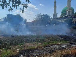 Cuaca Panas, Sungai Surut di Lamongan Terbakar