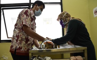 Pemkot Surabaya Buka Klinik Hewan Gratis, Ini Jadwal Operasionalnya