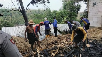 Api Sulut Kandang di Lereng Wilis Kediri, Paha Sapi Terkena Luka Bakar