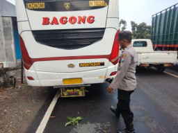 Bus Bagong Ugal-ugalan Tabrak Zebra di Tepi Jalan Papar Kediri