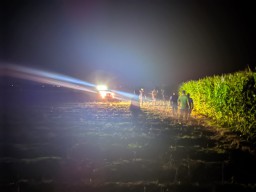Geger, Warga Malo Bojonegoro Mengaku Lihat Macan Misterius di Ladang Jagung