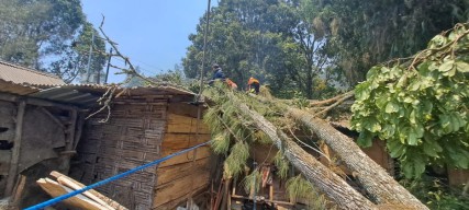 Kota Batu Dilanda Angin Kencang Rumah dan Warung Warga jadi Korban Pohon Tumbang
