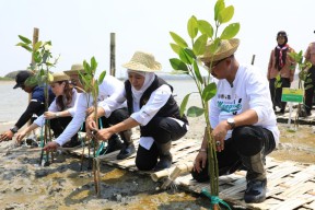 Gubernur Khofifah Tanam 10 Ribu Mangrove, Rawat Konservasi Laut Surabaya