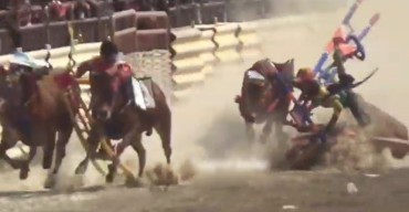 Dua Pasang Karapan Sapi Tabrakan Saat Bertanding di Bangkalan