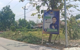 Baliho Bacaleg DPR Ajak Mencoblos Bertebaran di Bojonegoro, Bawaslu: Itu Tidak Dibenarkan