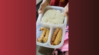 Viral Video Siswa SD di Bojonegoro Bawa Bekal Makanan Lauk Ulat Besar