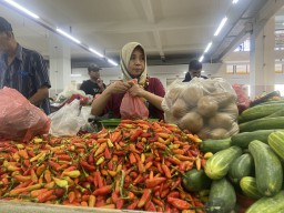 Harga Cabai Terus Merangkak Naik di Ponorogo, Pedagang Sebut Faktor Penyebabnya