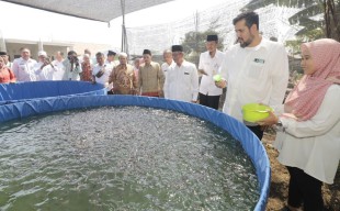 Santri 20 Ponpes di Kota Probolinggo Digembleng Cara Membudidayakan Ikan Lele