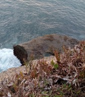 Nelayan Dilaporkan Hilang di Pantai Sioro Tulungagung