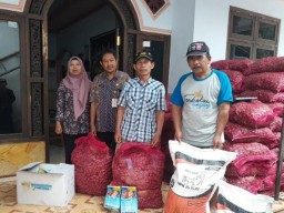 Manfaatkan DBHCHT,  3,5 Ton Bibit Bawang Merah Diberikan Pemkab Lumajang untuk Poktan Dewi Sri