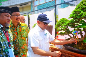 Yuk, Menikmati Keindahan Bonsai di MPP Sidoarjo