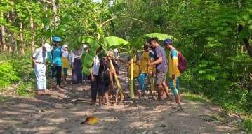 Video Viral, Pelajar Bojonegoro Bolos Tanam Pisang di Tengah Jalan