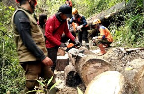 Antisipasi Banjir Bandang Kota Batu, Relawan Turun Jurang Potong Puluhan Batang Pohon