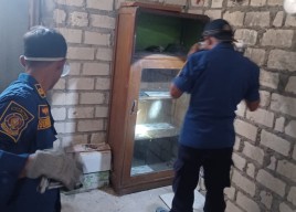 Musim Pancaroba di Lamongan, Damkar Sibuk Evakuasi Hewan Liar Masuk Rumah Warga