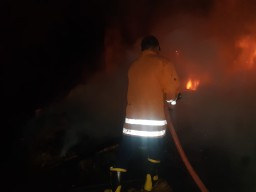 Kandang Ternak di Lamongan Terbakar, 3 Hewan Mati Terpanggang