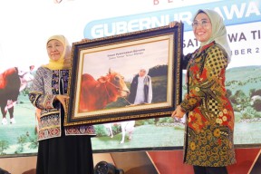 Gelar Prestasi Pembangunan Peternakan Jatim 2023, Ini Pesan Gubernur Khofifah