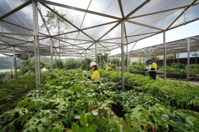 PT Merdeka Copper Gold Tbk Raih 2 Penghargaan Internasional