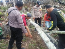Kakek Asal Trenggalek Tewas Tertimpa Pohon di Ladang