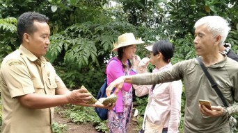 Menikmati Sensasi Manis Pahit Durian Mlancu Langsung dari Kebun, Tidak Dijual di Luar Desa!