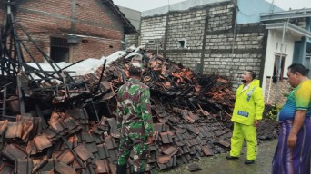 Hujan Angin Kencang Rusak Bangunan hingga Tumbangkan Pohon di Lamongan