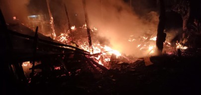 Gegara Bediang, Kandang Terbakar dan Seekor Sapi Terpanggang di Lamongan