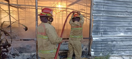 Kandang Ayam di Dander Bojonegoro Terbakar, Kerugian Rp2,8 Miliar