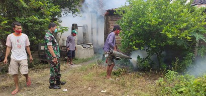 178 Warga Lamongan Terjangkit Demam Berdarah Selama 2023, Dinkes: Sudah Turun Drastis