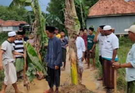 Warga Pesanggar Pamekasan Tanam Pohon Pisang di Jalan yang Belasan Tahun Rusak