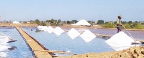 Kemarau Panjang, Produksi Garam Capai 311 Ribu Ton