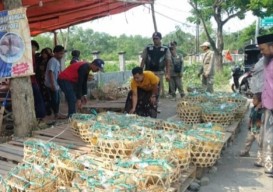 Penjual Durian di Bahu Jalan Akses Suramadu Bangkalan Ditertibkan