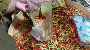 Awal Tahun 2024, Cabai Rawit di Lamongan Masih Rp75 Ribu per Kg
