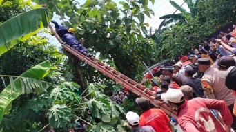 Warga Bojonegoro Tewas Tersengat Listrik di Atas Pohon, Istri Histeris
