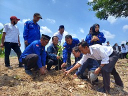 Tanam Pohon saat Pelantikan KPPS Lamongan Bentuk Kompensasi Pemakaian Kertas