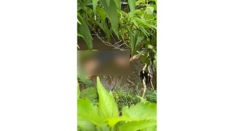 Viral Temuan Mayat di Sungai Irigasi Malang, Korban Pengeroyokan?