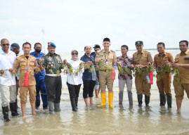 Budidaya Rumput Laut Dikembangkan di Bangkalan, Pj Bupati: BUMDes Harus Kreatif