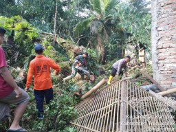 Dua Rumah di Trenggalek Rusak Parah Tertimpa Pohon