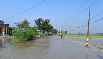12 Desa 3 Kecamatan di Gresik Kebanjiran Gegara Kali Lamong Meluap