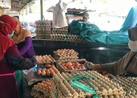 Harga Telur di Sidoarjo Merangkak Naik, Capai Rp32.000/Kg