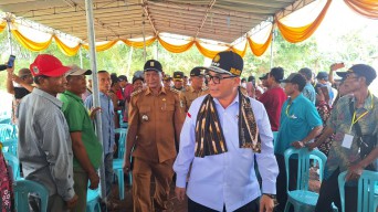 Wamentan Temui Petani Lamongan, Dorong Produktivitas Jagung dan Beras