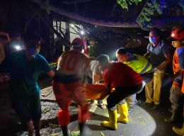 Pemotor di Trenggalek Tewas Tertimpa Pohon Tumbang