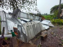 Angin Puting Beliung Terjang Sidoarjo: Ratusan Rumah Rusak, 1 Tewas