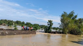 70 Ha Tambak di Lamongan Terendam Banjir, Imbas Tanggul Kali Plalangan Jebol