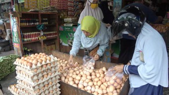 Harga Telur di Lamongan Tembus Rp31 Ribu/Kg, Susul Beras dan Cabai