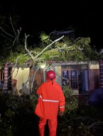 Ponorogo Diguyur Hujan Tiada Henti, Pohon Tumbang hingga Longsor