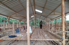 Melihat Dari Dekat Balai Ternak Senilai Rp500 Juta di Lamongan