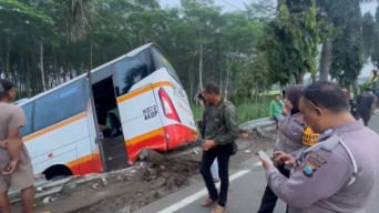 Bus Harapan Jaya di Kediri Terperosok ke Sawah usai Ditabrak Kijang Innova