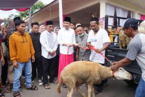 Disumbang 10 Kambing untuk Maju Pilbup Jember, Gus Fawait Terharu