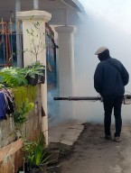 DBD di Kota Batu Capai 84 Kasus, 2 Meninggal Dunia